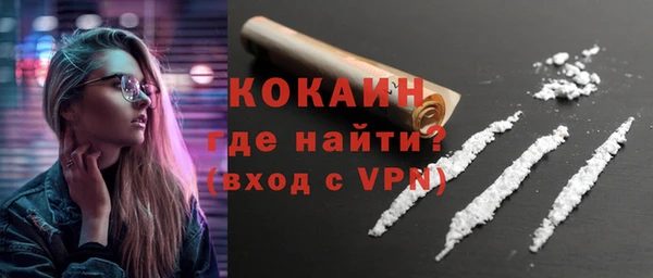 мдпв Бородино