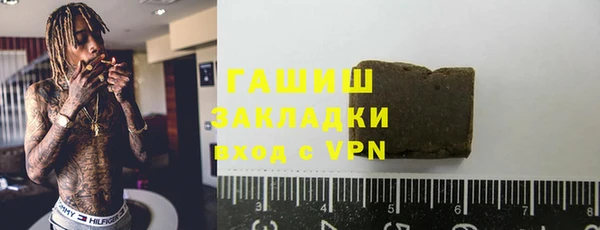 мдпв Бородино