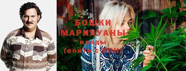 мдпв Бородино