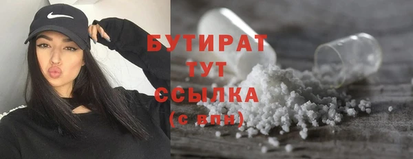 мдпв Бородино