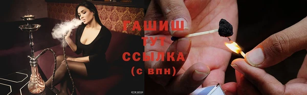 мдпв Бородино