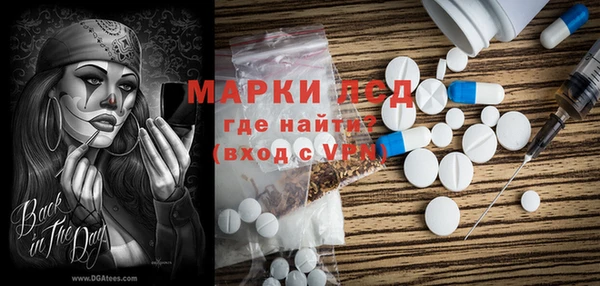 мдпв Бородино