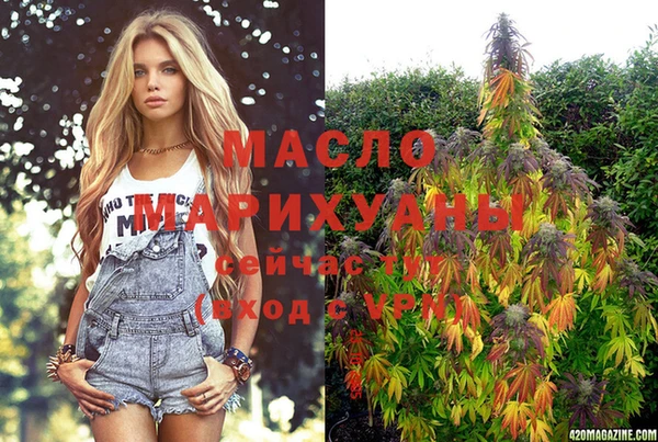 мдпв Бородино