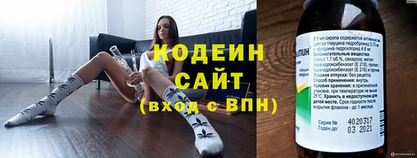 мдпв Бородино