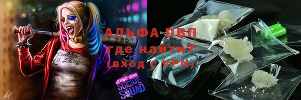 мдпв Бородино
