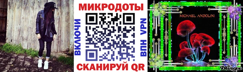 гидра как войти  сколько стоит  Городец  Псилоцибиновые грибы Psilocybe 